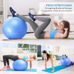 LORDEX Gym Ball – Anti-Burst Stability Ball for Core