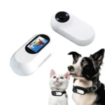 Cat and dog wearing small pet cameras with screen and lens for activity tracking